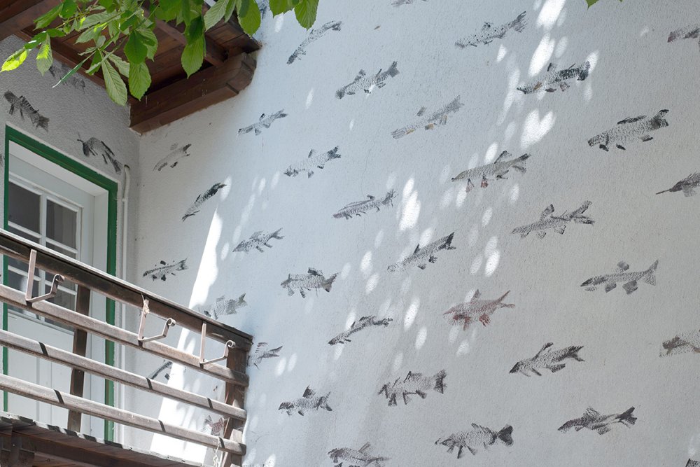 Vische, permanent, Kartaus, 2025