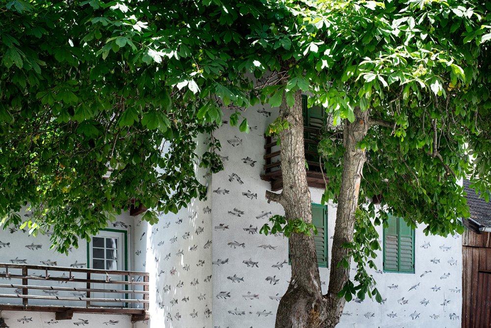 Vische, permanent, Kartaus, 2025