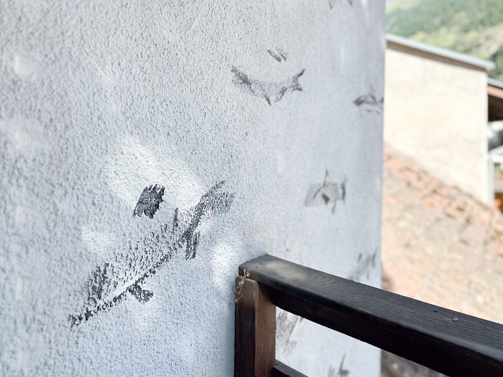 Vische, permanent, Kartaus, 2025