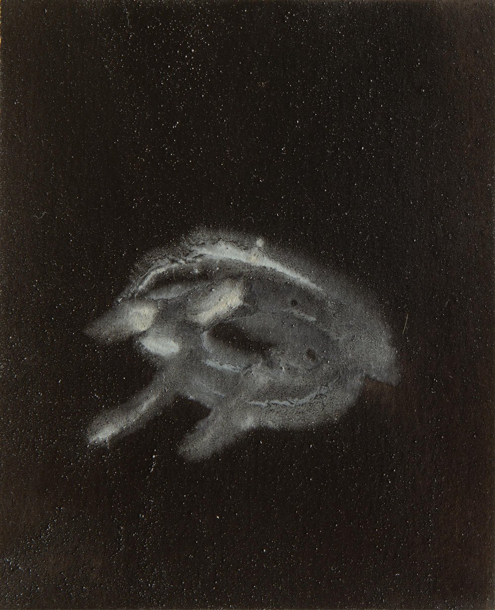Il Rospo. Libri Antichi Stampe, 15 × 18,5 cm, varnished pigment on paper, 2021