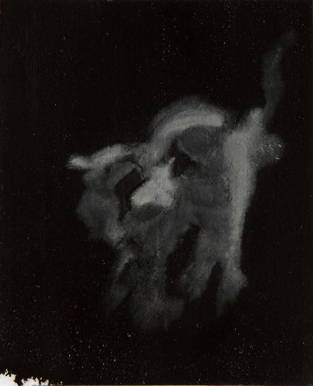 La Gattina. Libri Antichi Stampe, 15 × 18,5 cm, varnished pigment on paper, 2021